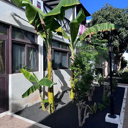 Casa Ana Puerto Del Carmen Lägenhet *